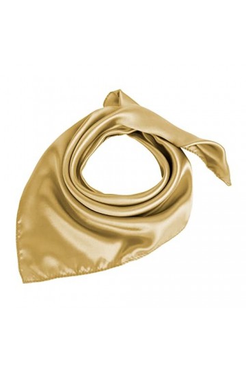 TOPTIE Écharpe en satin 19 pouces, écharpe à col carré et à la mode pour poignets