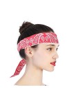 Yinhing Écharpe Ice Cool, Bandanas Imprimés, Bandana Rafraîchissant, Foulard à Refroidissement Rapide, Mouchoir pour Chien, T