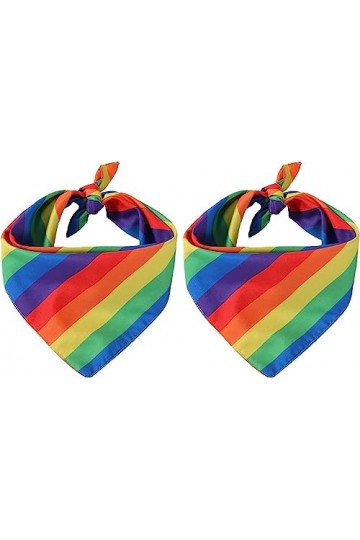 KFDDRN 2 Pièces Arc-en-ciel Bandanas, doux et élastique tissu de coton, LGBT Pride Bandana, Parade Accessoires Bandana Headsc