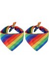 KFDDRN 2 Pièces Arc-en-ciel Bandanas, doux et élastique tissu de coton, LGBT Pride Bandana, Parade Accessoires Bandana Headsc
