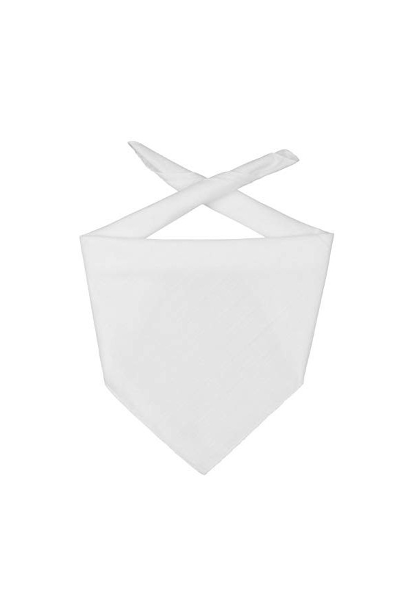 Chapeaushop Bandana Uni Bandeau Taille Unique - Blanc 