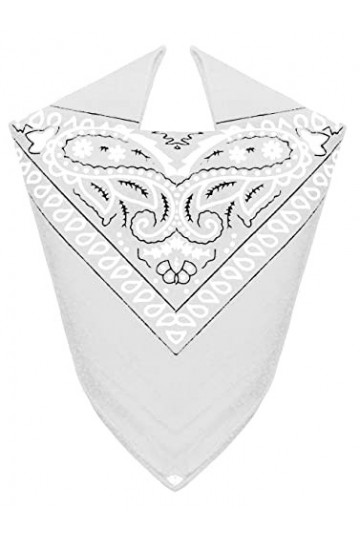 Van Der Rich ® - Bandanas 100% Coton avec motif Paisley pour Homme Femme NRFuchsia, TU 