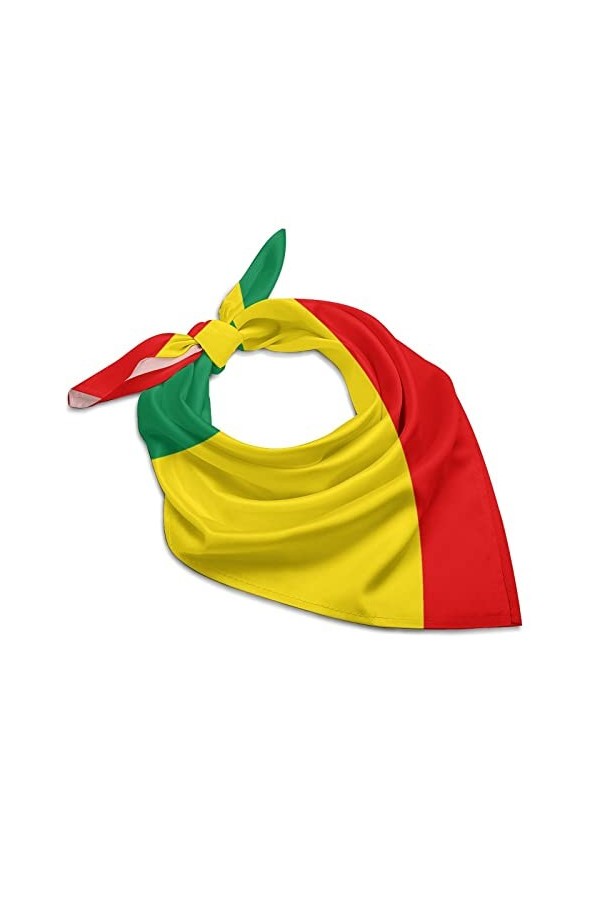 Foulard carré en satin de soie de 63,5 cm, motif cachemire vintage, léger, pour femmes et filles, Imprimé animal marron noir 