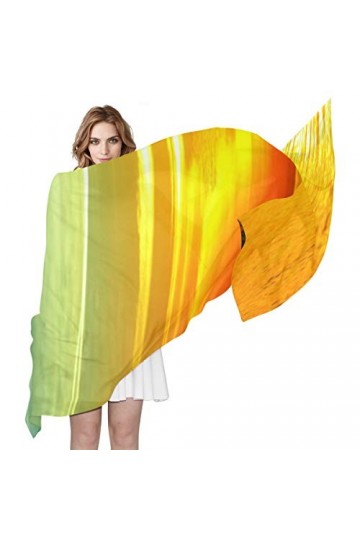 MALPLENA Foulards et écharpes en mousseline de soie pour femme Motif coucher de soleil, multicolore