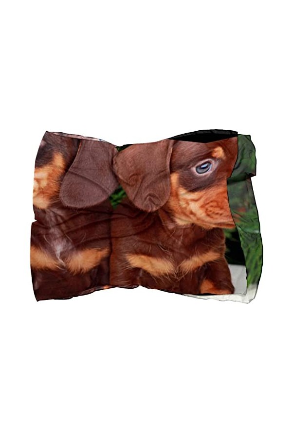 VBFOFBV Écharpes pour femmes légères mode foulards imprimé motif floral écharpe châle wraps,Teckel Animaux