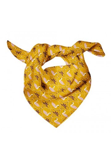 Bimba Rose Aigle plume écharpe en pure soie imprimée foulard dupatta avec bandanas pour femmes 40 x 40 Pouces