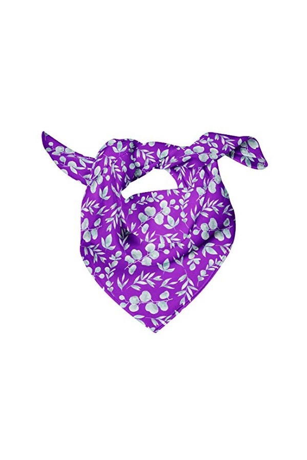 Bimba Rose Aigle plume écharpe en pure soie imprimée foulard dupatta avec bandanas pour femmes 40 x 40 Pouces