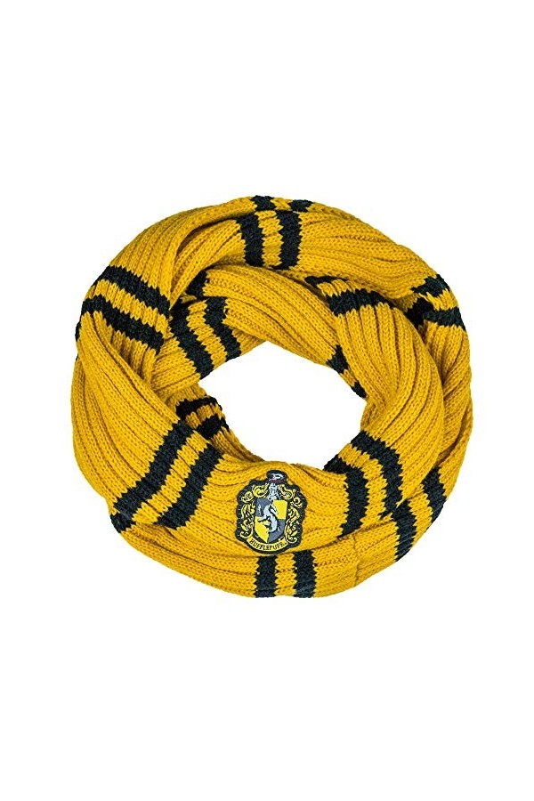Cinereplicas - Harry Potter - Echarpe Infinity - Licence Officielle - Maison Serdaigle - Bleu et Gris