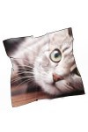 RAUP 27" Soie Carrée Comme Foulards Carrés, Gris Fluffy Cat Concept Animaux Bannière Mode Soie Sentiment Foulard Moyen Carré 