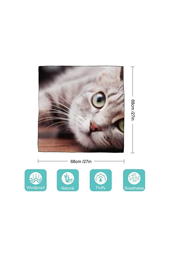 RAUP 27" Soie Carrée Comme Foulards Carrés, Gris Fluffy Cat Concept Animaux Bannière Mode Soie Sentiment Foulard Moyen Carré 