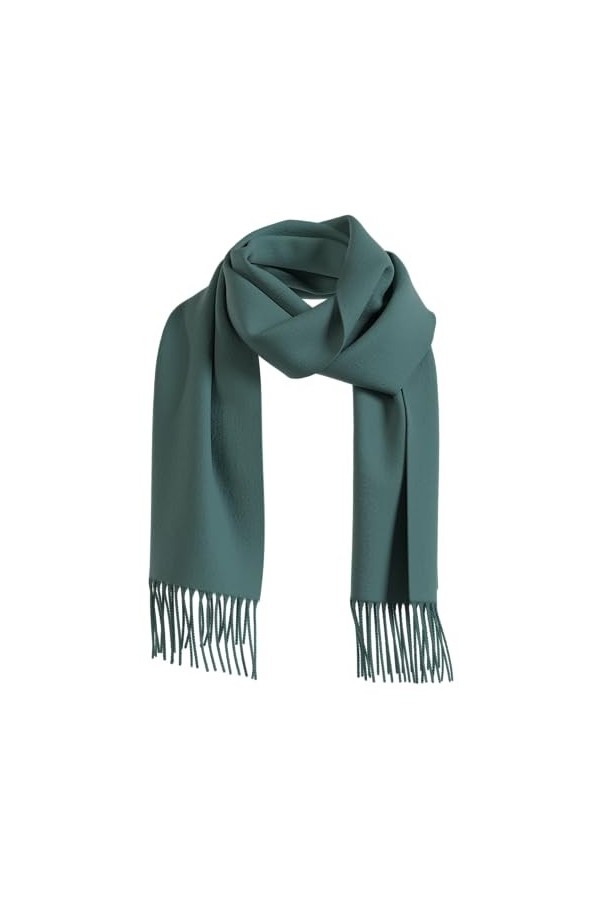 s.Oliver Sales GmbH & Co. KG / s.Oliver Écharpe à franges pour femmes avec franges, marron, taille unique