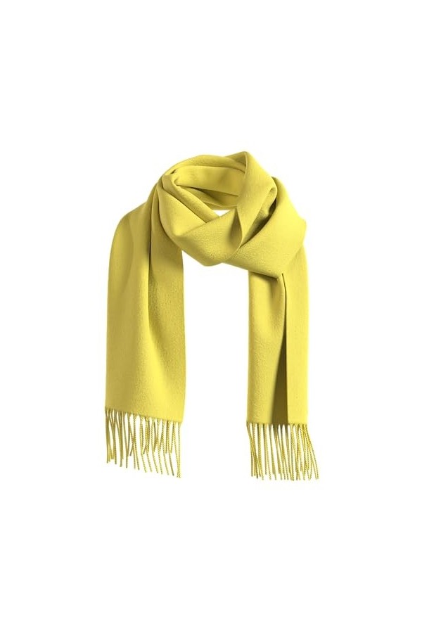 s.Oliver Sales GmbH & Co. KG / s.Oliver Écharpe à franges pour femmes avec franges, marron, taille unique