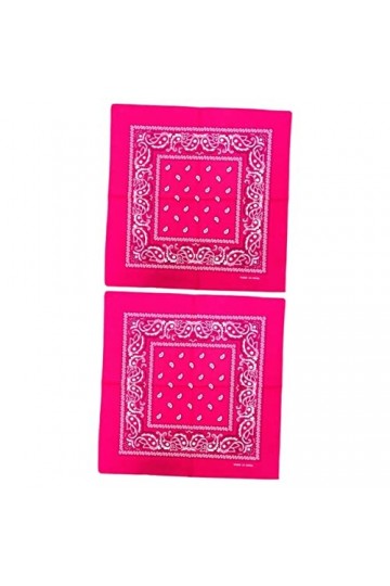 VALICLUD Mouchoirs 24 Pcs Rustique Écharpe Fille Bavoirs Coton Biologique Bandana Soleil Foulard Fleur Bandana Hip Hop Moucho