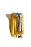 Écharpe Etole Foulard Echarpe Foulard En Cachemire De Luxe Winter Femmes Pashmina Châles Couverture Chaude Couverture Chaude 