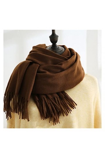 Echarpe Foulard Echarpe Foulard Femme Écharpes dhiver Imitation Cachemire Sentence Pashmina Châle Enveloppe Soft Couverture 