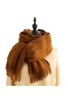 Foulard Châle Écharpes Echarpe Foulard Femme Écharpes Dhiver Imitation Cachemire Sentence Pashmina Châle Enveloppe Soft Couv