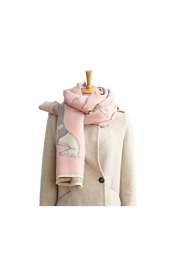 Écharpe Etole Foulard Echarpe Foulard dhiver double face femme écharpe cachée de cachemire épais chaude chaude châle soft wr