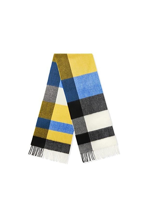 Foulard en Soie, Foulard Femme-Uni Cachemire Chaud Wraps Style pour Dames Couleur Unie Gland Châle Longue Étole Convient pour