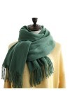 Écharpe Châle Echarpe Foulard Femme Écharpes Dhiver Imitation Cachemire Sentence Pashmina Châle Enveloppe Soft Couverture Ch