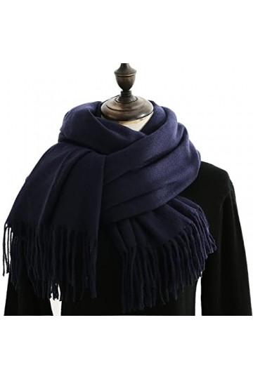 Écharpe Châle Echarpe Foulard Femme Écharpes Dhiver Imitation Cachemire Sentence Pashmina Châle Enveloppe Soft Couverture Ch