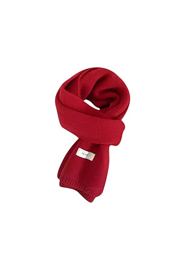 HHSclothing Pince Cravate Stylo Écharpe dhiver pour Femmes Feel Pashmina châle enveloppe des écharpes de Couverture Douces e