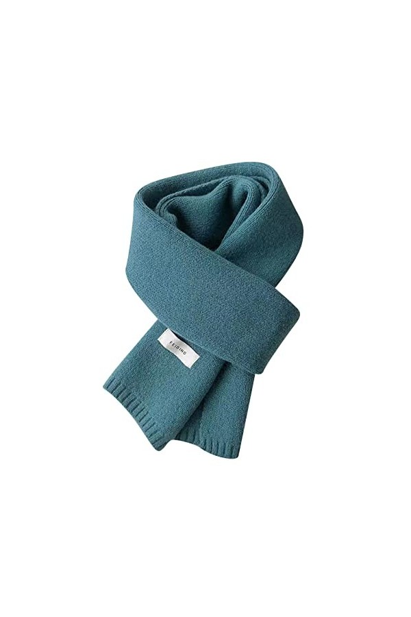 Diexua Cravate Noir Satin Écharpe dhiver pour femmes Feel Pashmina châle enveloppe des écharpes de couverture douces et chau