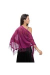 DNLKWGO Châle en dentelle et écharpes pour robe de soirée, écharpe de mariage, châle tendance pashmina pour femmes et filles,