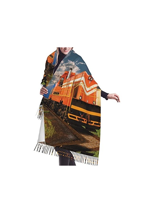 Grande écharpe en pashmina toucher cachemire doux et chaud pour homme et femme, Fond mural en briques industrielles, taille u