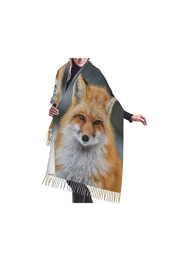 Grande écharpe pashmina motif dauphins galaxie, toucher cachemire, écharpe douce et chaude, cadeau pour homme et femme, Chat 