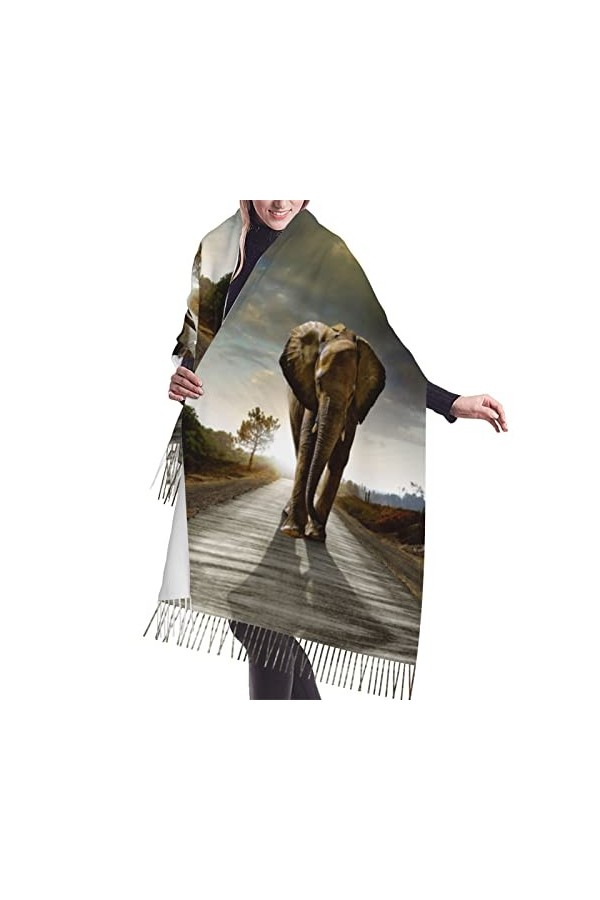 Grande écharpe pashmina motif dauphins galaxie, toucher cachemire, écharpe douce et chaude, cadeau pour homme et femme, Chat 