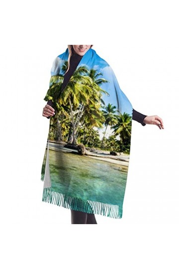 QQIAEJIA Grand châle pashmina doux au toucher cachemire avec franges pour femme, couleur, taille unique