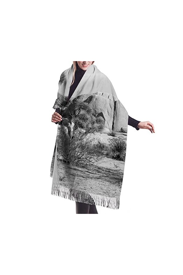 QQIAEJIA Natural Scenery - Grand châle pashmina doux au toucher cachemire pour femme - Écharpe dhiver avec bords frangés, Co