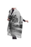 QQIAEJIA Natural Scenery - Grand châle pashmina doux au toucher cachemire pour femme - Écharpe dhiver avec bords frangés, Co