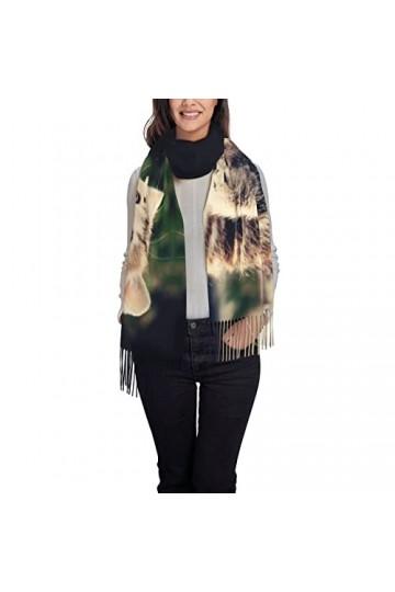 ASEELO Écharpe au toucher cachemire – Écharpes légères pour femmes, grands châles et écharpes pour le printemps, lautomne et