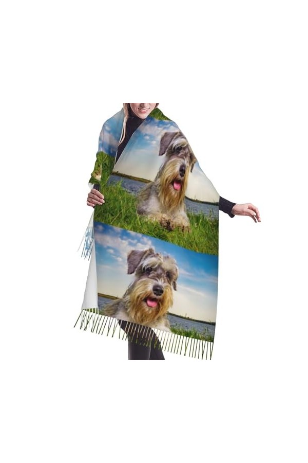Écharpe, Schnauzer Lawn Pets Grey Dogs Chnauzer, Écharpe à franges unisexe Grand chaud et doux au toucher cachemire Châles Wr