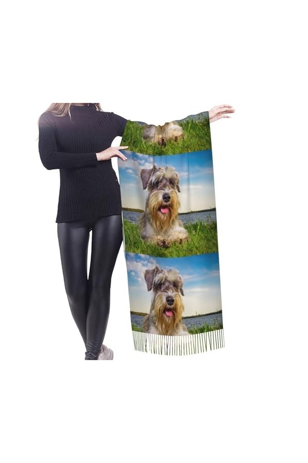 Écharpe, Schnauzer Lawn Pets Grey Dogs Chnauzer, Écharpe à franges unisexe Grand chaud et doux au toucher cachemire Châles Wr