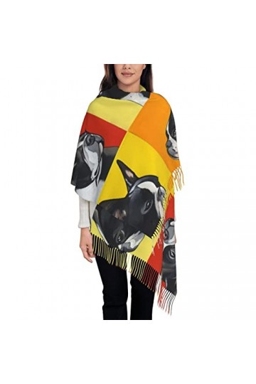 ASEELO Foulard dhiver long pashmina à paillettes pour femme Motif dauphin, License Plate, taille unique