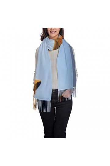 Écharpe dhiver rose à pois - Longue écharpe pashmina pour femme - Couverture chaude à pompons, renard, taille unique