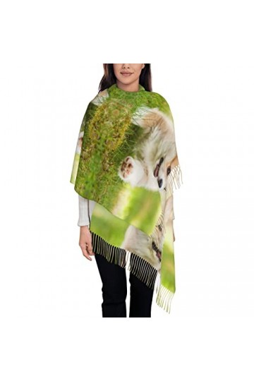 ASEELO Koala Bear Écharpe pour femme – Longue écharpe pashmina dhiver chaude pour femme, Christmas Trees, taille unique