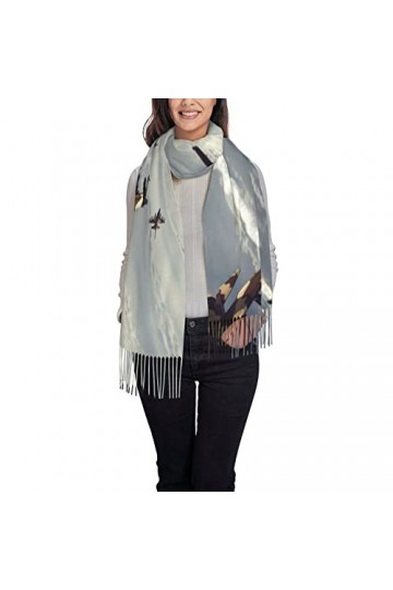 Écharpe dhiver pour femme - Longue écharpe pashmina chaude pour femme, Furet poilu., taille unique