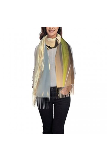 Fox Écharpe dhiver pour femme – Longue écharpe pashmina chaude pour femme, Avion., taille unique