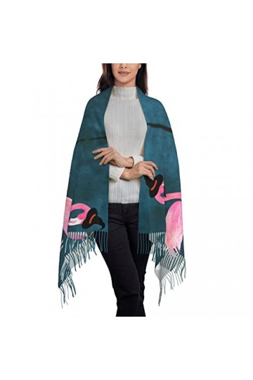 ASEELO Écharpe au toucher cachemire – Foulard léger pour femme, grand châle et écharpe pour le printemps, lautomne et lhive