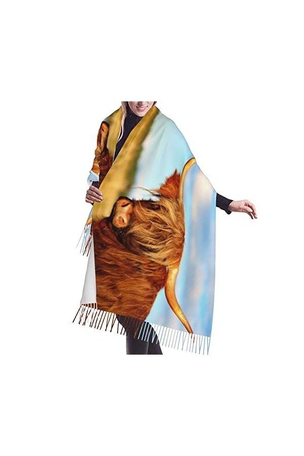 Écharpe à franges en cachemire pour femme - Motif roses rouges - Noir et blanc, Chapeau de sorcière., taille unique