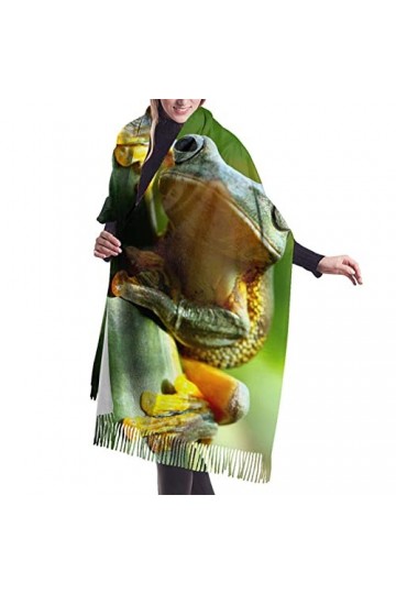Écharpe en cachemire imprimé grenouille verte – Châle pashmina pour femme, écharpes dhiver pour femme, grand emballage, cade
