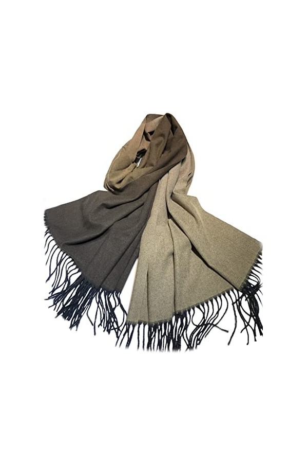 Écharpe dhiver pashmina pour femme, écharpe élégante, dégradé de couleur, long châle chaud pour toutes les saisons, marron, 