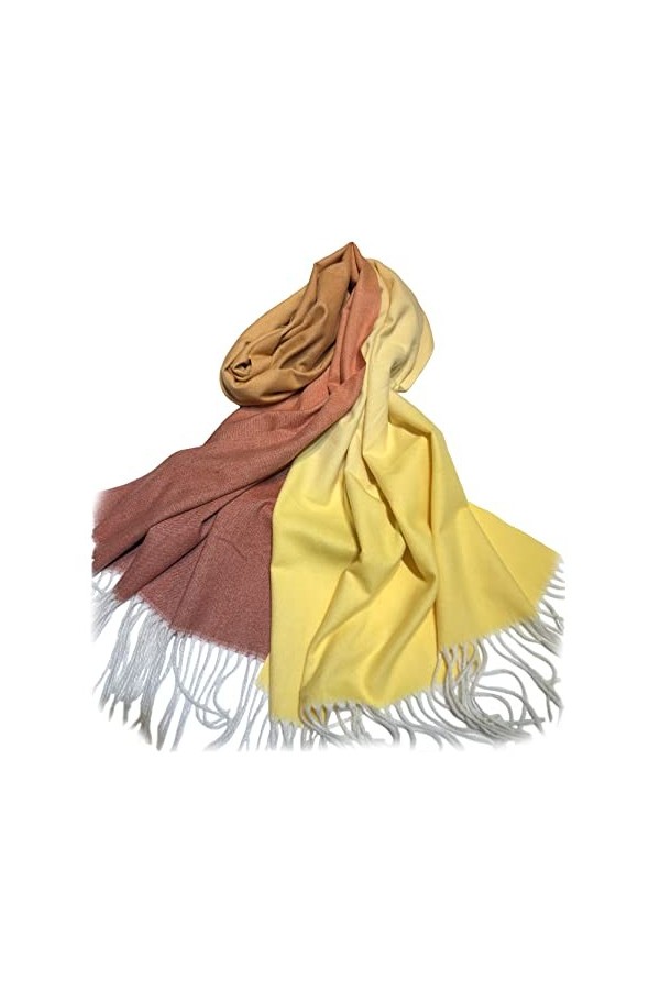 Écharpe dhiver pashmina pour femme, écharpe élégante, dégradé de couleur, long châle chaud pour toutes les saisons, marron, 