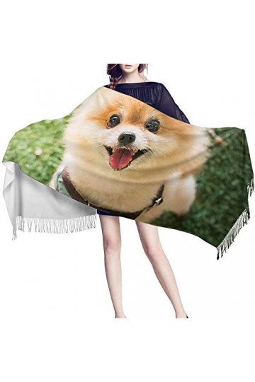 LWFYT Pancho Femme Chiccouverture De Chien Jaune Châle De Beauté pour Les Femmes Pashmina Cachemire Designer Mariage Mode Soi