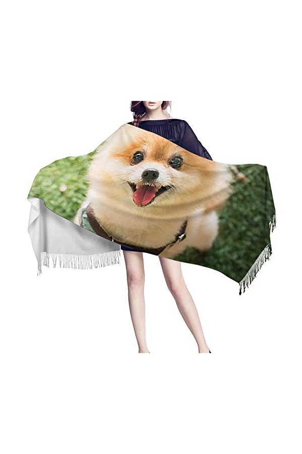 LWFYT Pancho Femme Chiccouverture De Chien Jaune Châle De Beauté pour Les Femmes Pashmina Cachemire Designer Mariage Mode Soi