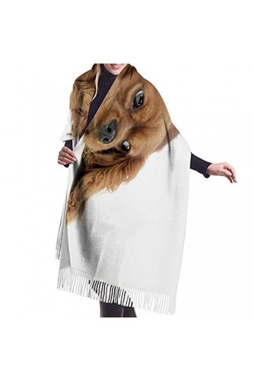 Pancho Femme Chicchien Charles Ami Animal Rider Mignon Terrier Marron Moelleux Drôle Polaire Châle Couverture pour Femmes Des