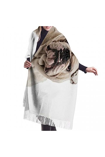 Pancho Femme Chicchâle Isolé Shar Pei Chien Visage Britannique Couverture pour Animaux De Compagnie pour Les Femmes Cachemire